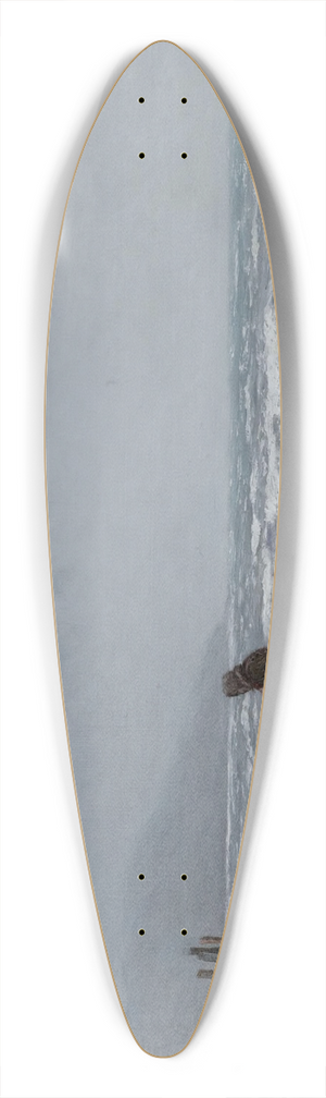 Joseph Henderson - A Windswept Beach 39.3 inch art pintail longboard deck