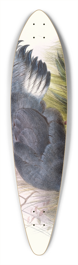 Joseph Smit - Crossoptilon auritum. 39.3 inch art pintail longboard deck