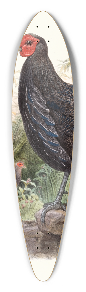 Joseph Smit - Euplocamus Pyronotus 39.3 inch art pintail longboard deck