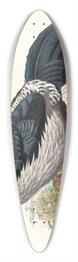 Joseph Smit - Euplocomus albo-cristatus. 39.3 inch art pintail longboard deck