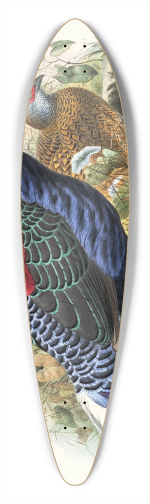 Joseph Smit - Euplocomus Swinhoei. 39.3 inch art pintail longboard deck