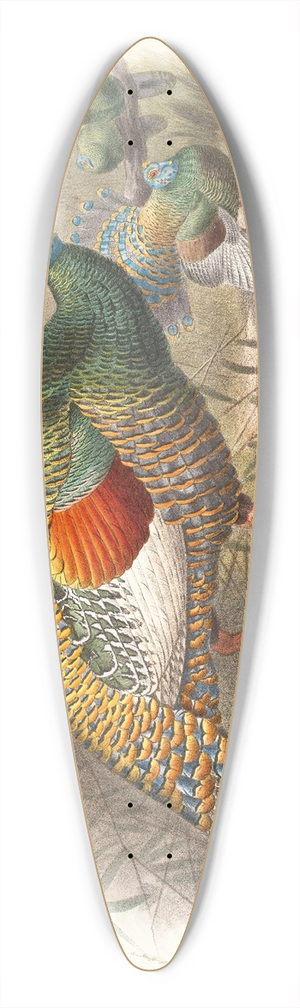 Joseph Smit - Melaeacris Ocellata 39.3 inch art pintail longboard deck