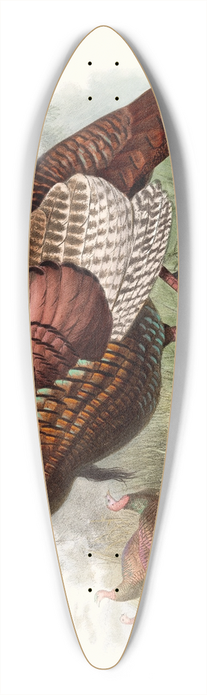 Joseph Smit - Meleagris gallopavo. 39.3 inch art pintail longboard deck