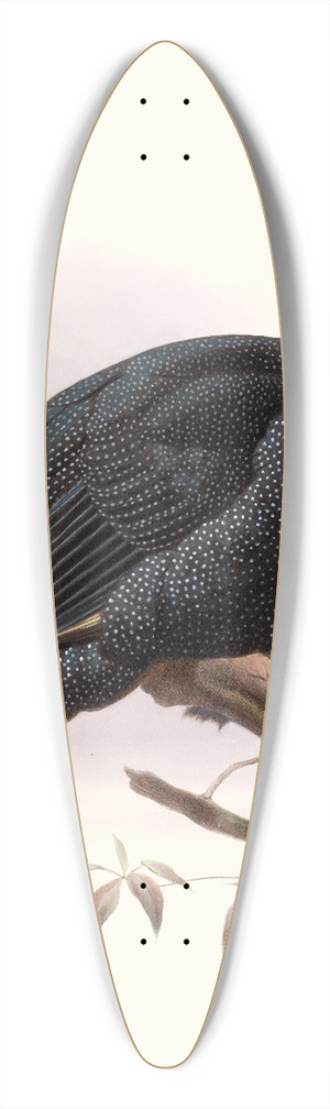 Joseph Smit - Numida Pucherani. 39.3 inch art pintail longboard deck