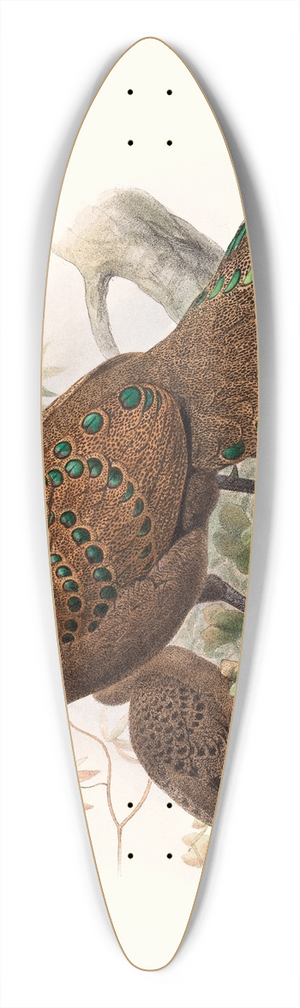 Joseph Smit - Polyplectron bicalcaratum. 39.3 inch art pintail longboard deck