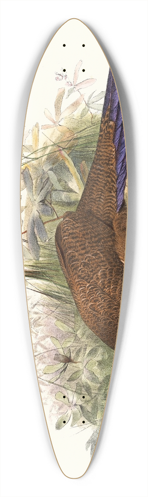 Joseph Smit - Polyplectron chalcurum. 39.3 inch art pintail longboard deck