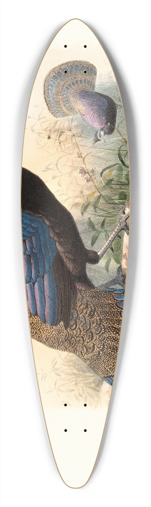 Joseph Smit - Polyplectron emphanum. 39.3 inch art pintail longboard deck