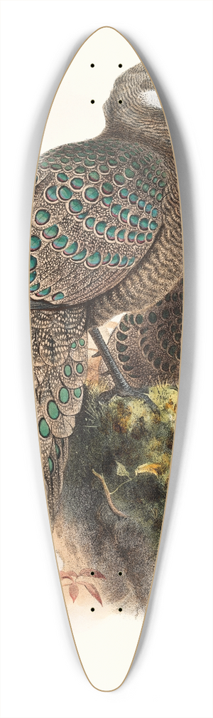 Joseph Smit - Polyplectron thibetanum. 39.3 inch art pintail longboard deck