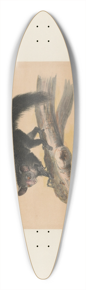 Joseph Wolf - The Aye-Aye 39.3 inch art pintail longboard deck