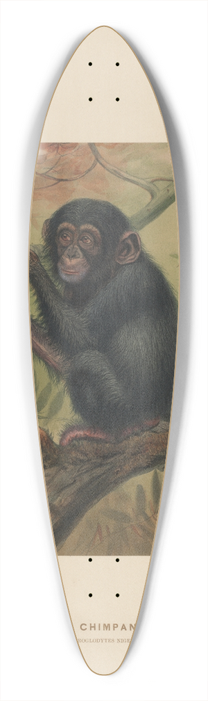 Joseph Wolf - The Chimpanzee 39.3 inch art pintail longboard deck