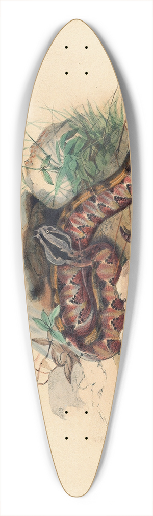 Joseph Wolf - The Clotho 39.3 inch art pintail longboard deck