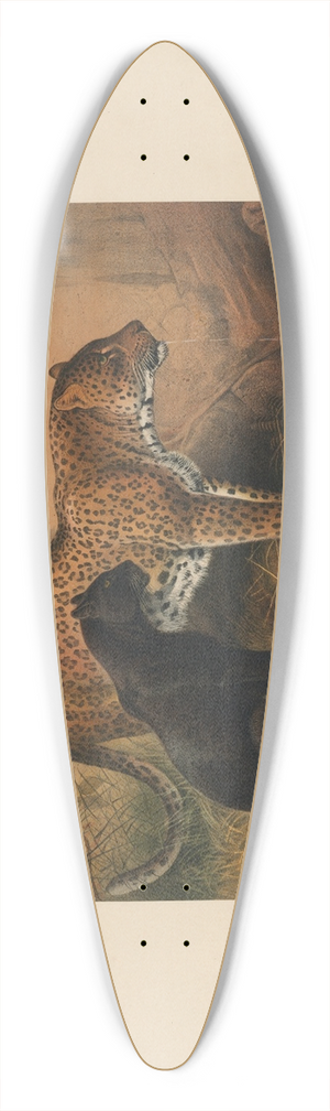 Joseph Wolf - The Leopard 39.3 inch art pintail longboard deck