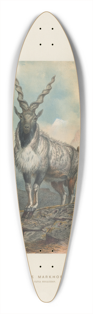 Joseph Wolf - The Markhore 39.3 inch art pintail longboard deck