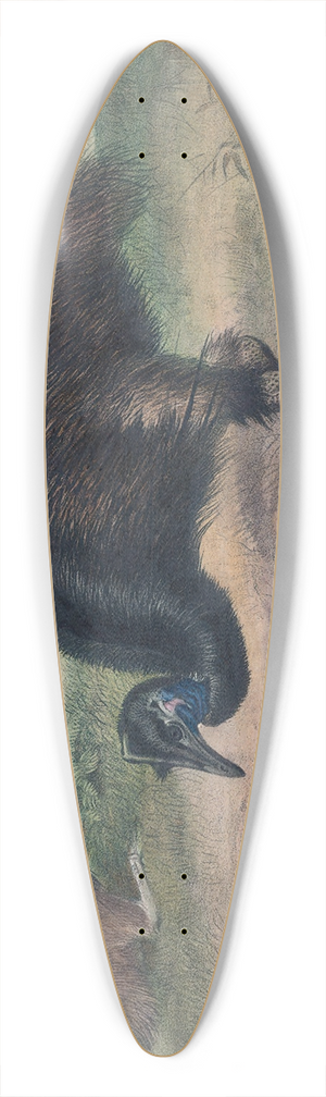 Joseph Wolf - The Mooruk 39.3 inch art pintail longboard deck