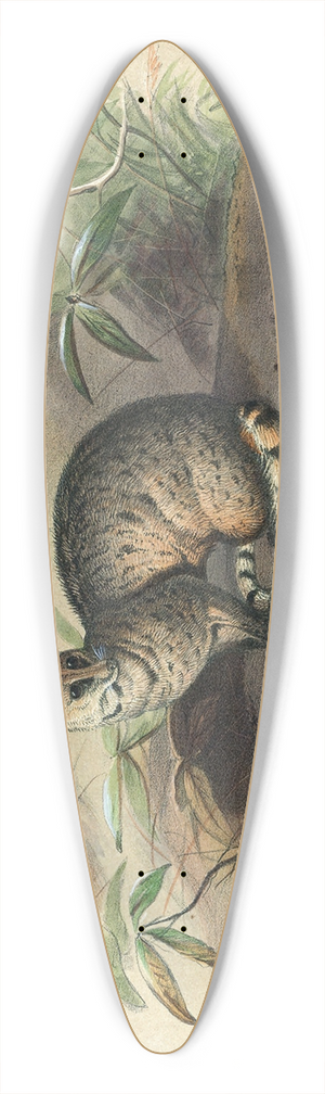Joseph Wolf - The Rasse 39.3 inch art pintail longboard deck