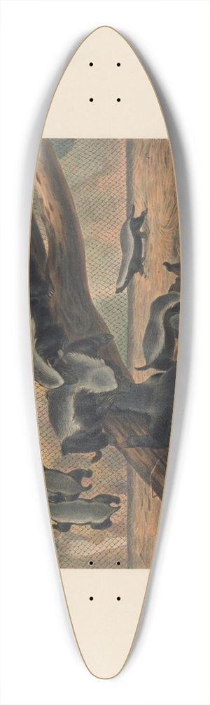 Joseph Wolf - The Ratels 39.3 inch art pintail longboard deck