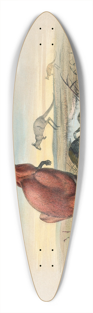 Joseph Wolf - The Red Kangaroo 39.3 inch art pintail longboard deck
