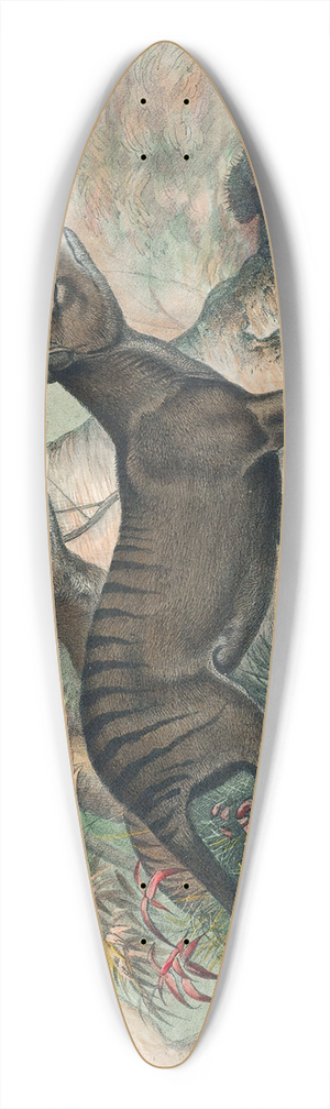 Joseph Wolf - The Thylacine 39.3 inch art pintail longboard deck