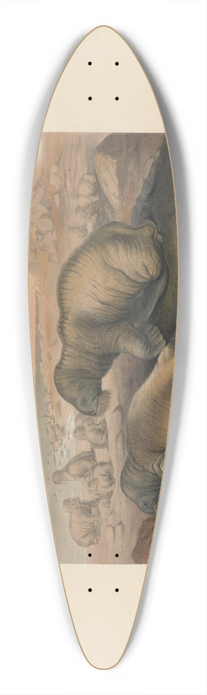 Joseph Wolf - The Walrus 39.3 inch art pintail longboard deck