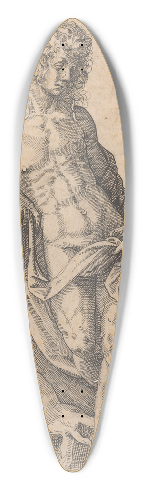 Jost Amman - Apollo 39.3 inch art pintail longboard deck