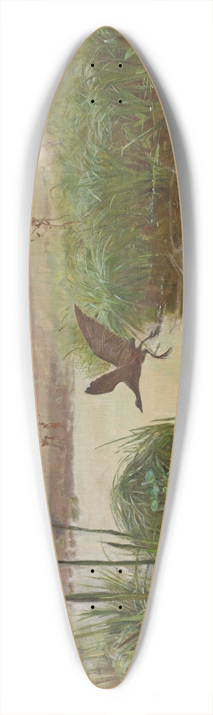 Jozef Chelmonski - Common moorhen 39.3 inch art pintail longboard deck