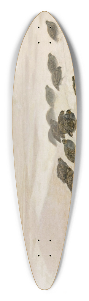 Jozef Chelmonski - Partridges 39.3 inch art pintail longboard deck