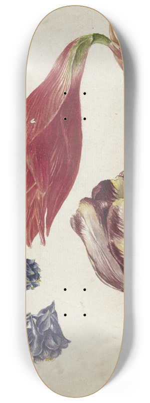 Georgius Jacobus Johannes van Os - Tulp, akelei en amaryllis 8.25 inch art skate deck