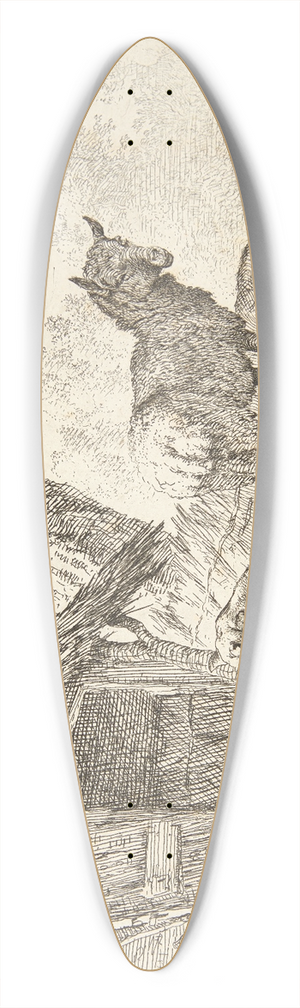 Karel Dujardin - Fire fr 39.3 inch art pintail longboard deck