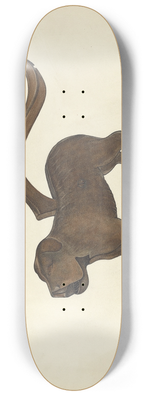 Gerald Transpota - Nutcracker  Dog 8.25 inch art skate deck