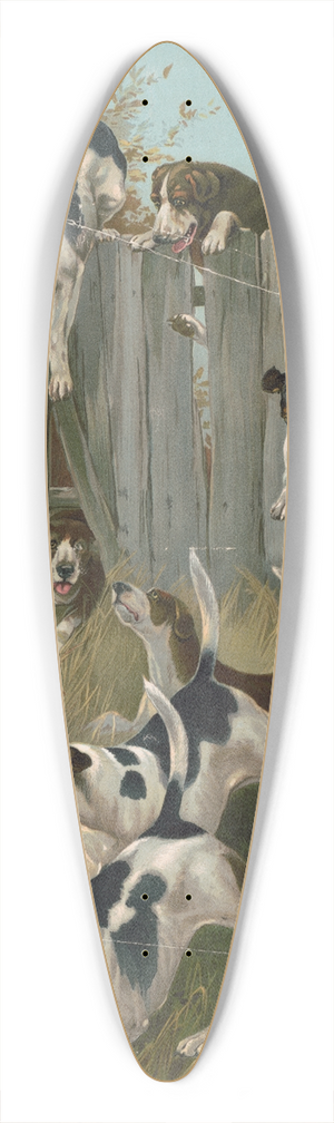 Knapp & Co. - Here they come 39.3 inch art pintail longboard deck