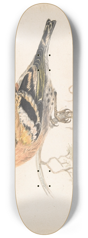 Gerardus van Veen - Bramling (Fringilla Montifringilla) 8.25 inch art skate deck