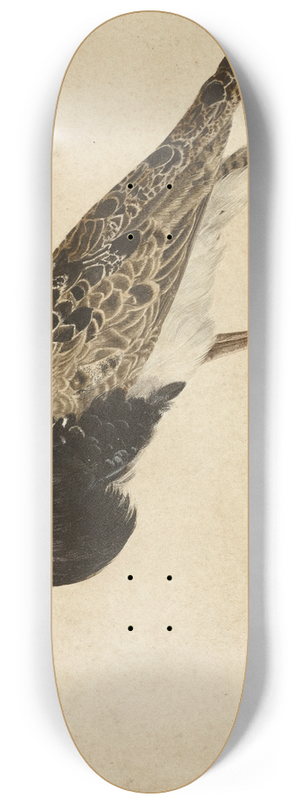 Gerardus van Veen - Standing Ruff 8.25 inch art skate deck