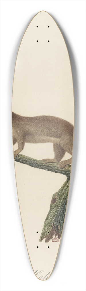 Le Maki nain 39.3 inch art pintail longboard deck