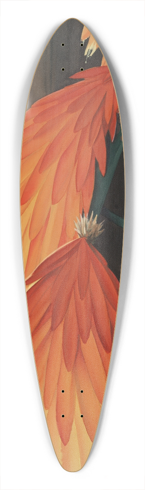 Leon Carroll - Skyrocket (Red HotPoker) 39.3 inch art pintail longboard deck