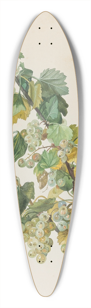 Leopold Zinngger - Grne Ribisel 39.3 inch art pintail longboard deck