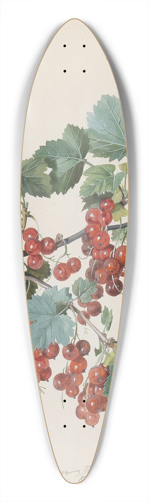 Leopold Zinngger - Rote Ribisel 39.3 inch art pintail longboard deck