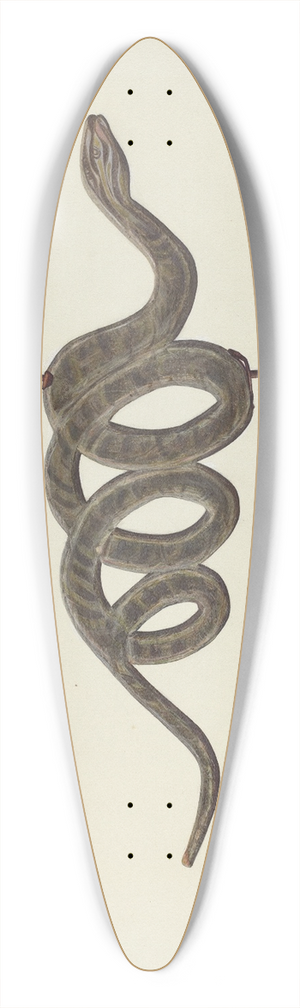 Lloyd Broome - Serpent Weather Vane 39.3 inch art pintail longboard deck