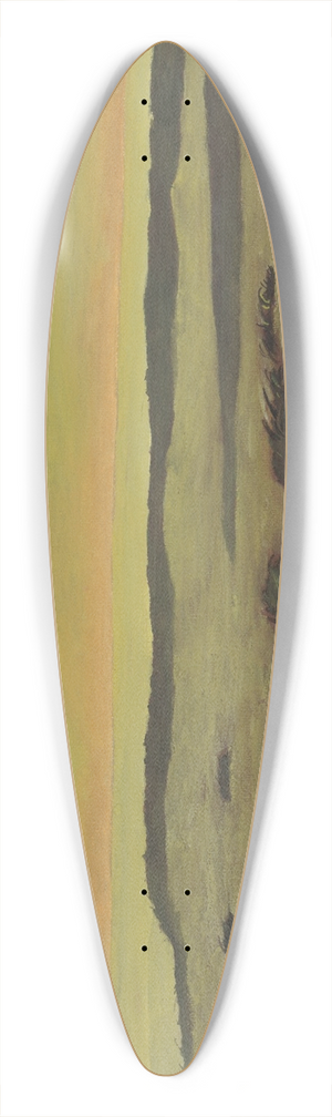 Lon Spilliaert - Duinen 39.3 inch art pintail longboard deck