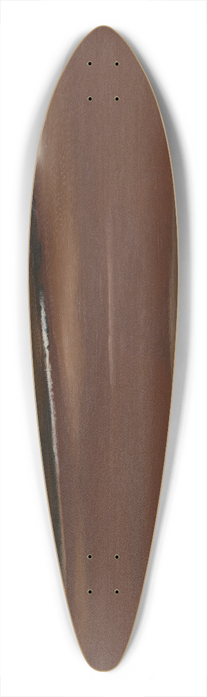 Lon Spilliaert - Marine 39.3 inch art pintail longboard deck