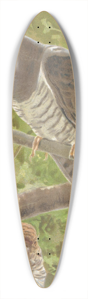 Lo-Paul Robert - Coucou 39.3 inch art pintail longboard deck