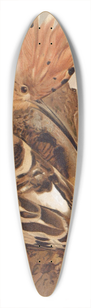 Lo-Paul Robert - Huppe 39.3 inch art pintail longboard deck