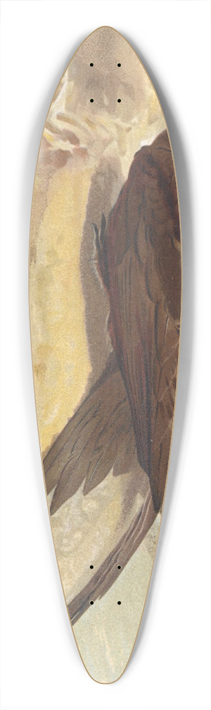 Lo-Paul Robert - Martinet Noir 39.3 inch art pintail longboard deck