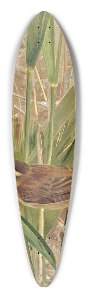 Lo-Paul Robert - Phragmite 39.3 inch art pintail longboard deck