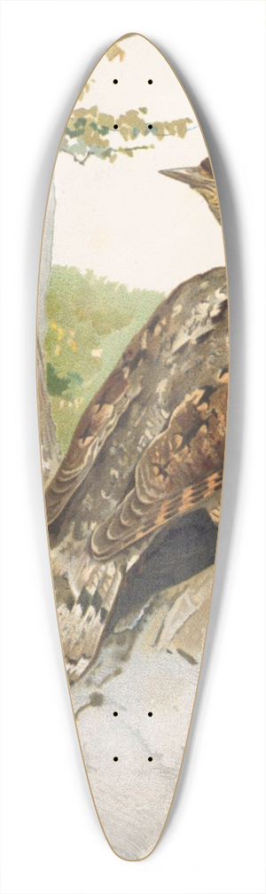 Lo-Paul Robert - Torcol 39.3 inch art pintail longboard deck