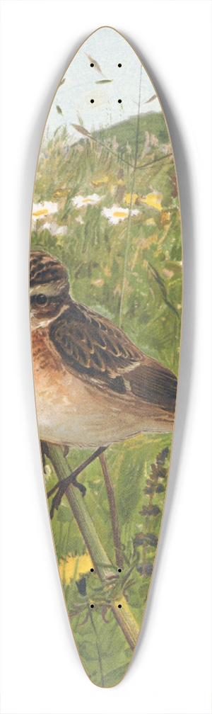 Lo-Paul Robert - Traquet Tarier 39.3 inch art pintail longboard deck