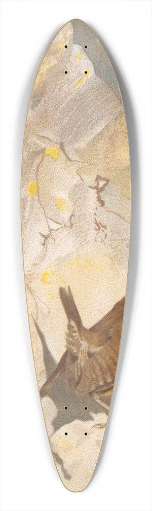 Lo-Paul Robert - Troglodyte 39.3 inch art pintail longboard deck