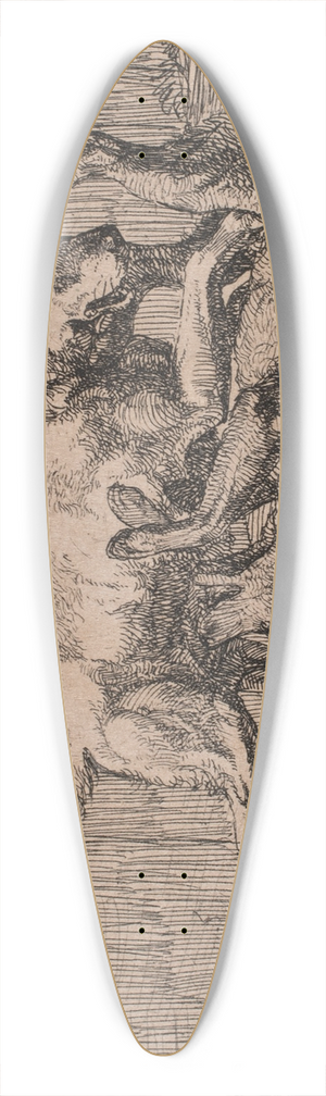 Lorenz Frlich - Billede 39.3 inch art pintail longboard deck