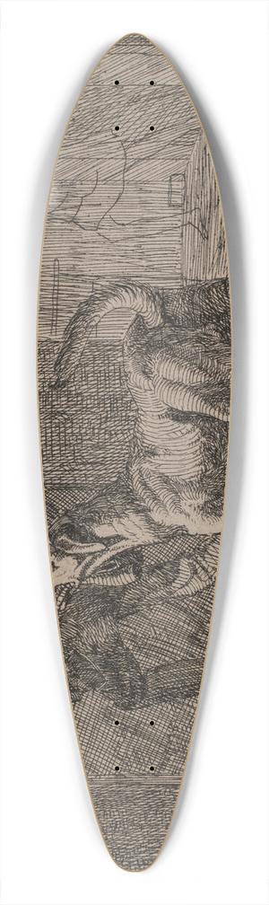 Lorenz Frlich - Billede 39.3 inch art pintail longboard deck