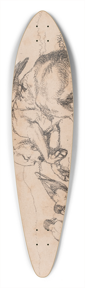 Lorenz Frlich - Billede 39.3 inch art pintail longboard deck