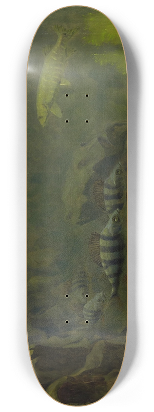 Gerrit Willem Dijsselhof - Pike and Perch in an Aquaruim 8.25 inch art skate deck